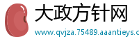 大政方针网